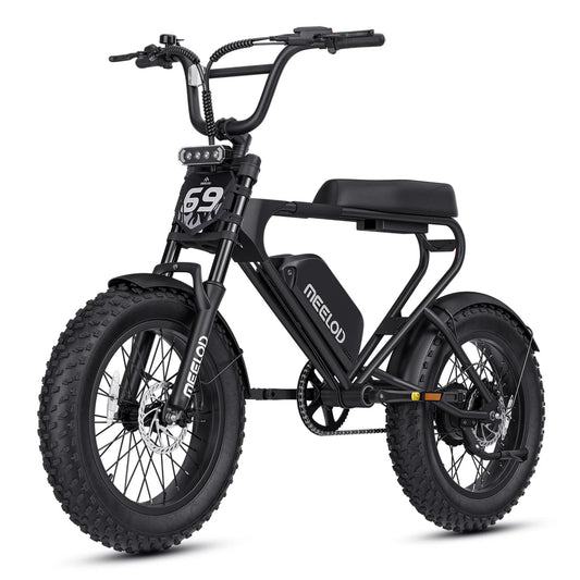 Meelod DK200F Fat Tire E Bike
