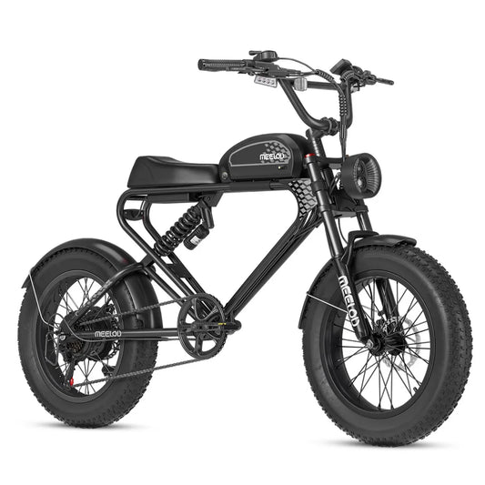 Meelod DK300 Plus 1200w Motor E Bike 20" x 4.0