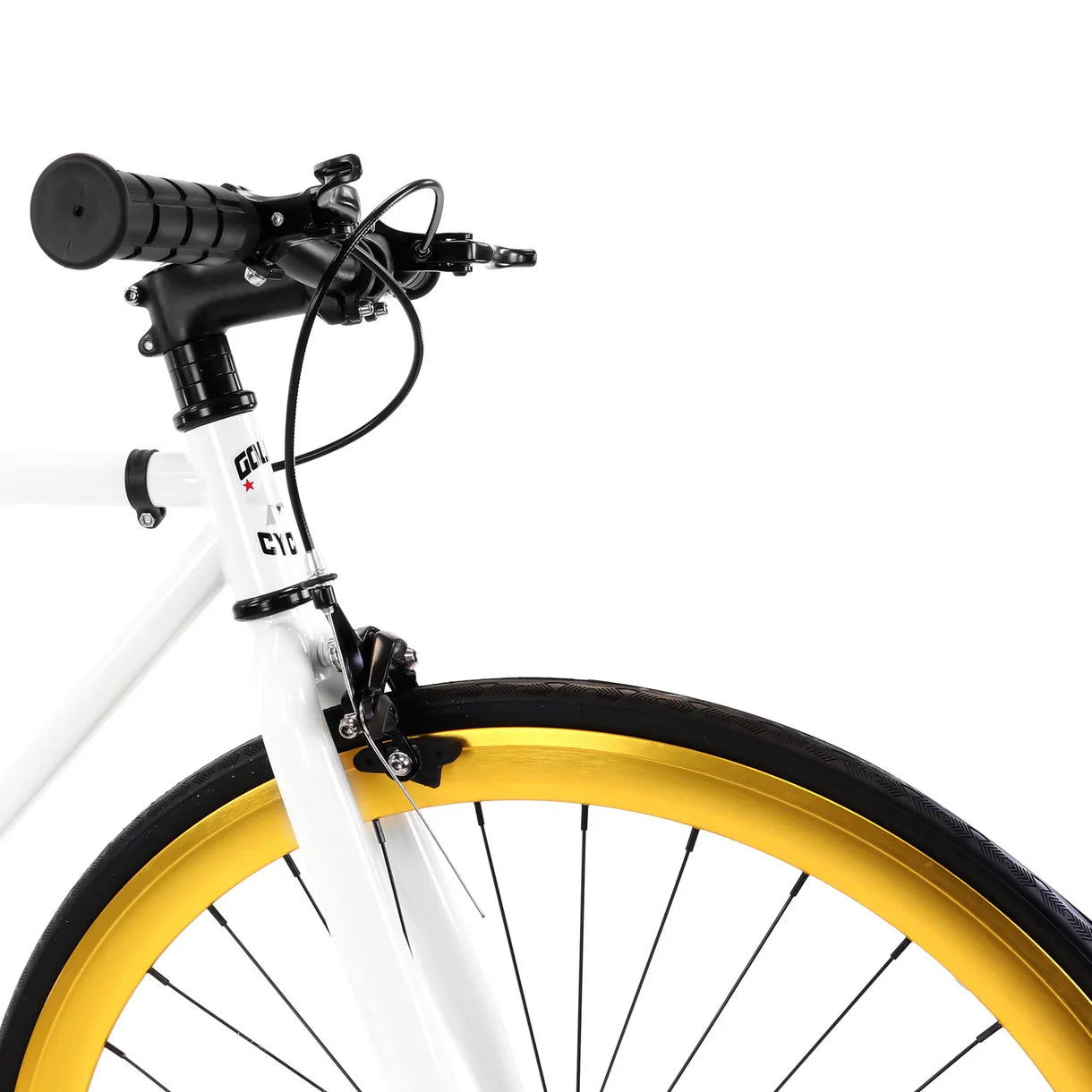 Golden Cycles - Pharaoh