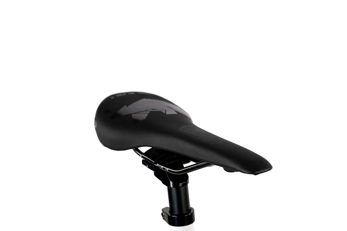 Golden Cycles - Pharaoh