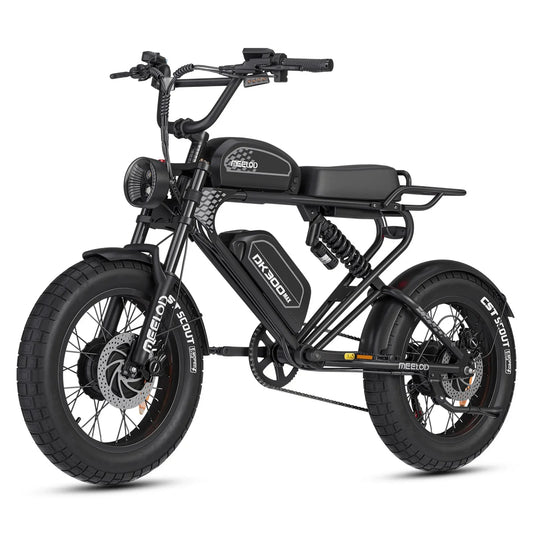 Meelod DK300MAX Dual Motor E Bikes