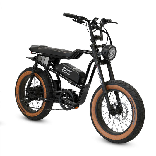 Golden Cycles Panthro E Bike 20" x 4.0 (Black)